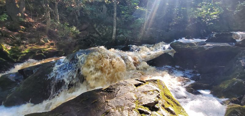 Multiple Viewpoints Mean Multiple Chances For The Perfect Photo