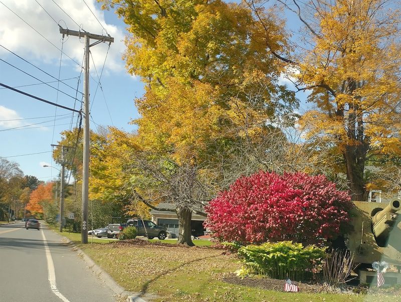 West Stockbridge