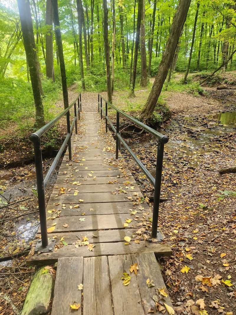 Robinson State Park, Feeding Hills, MA