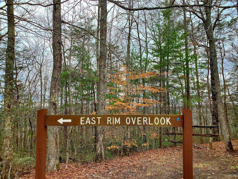 East Rim Overlook, Big South Fork National River And Recreation Area
