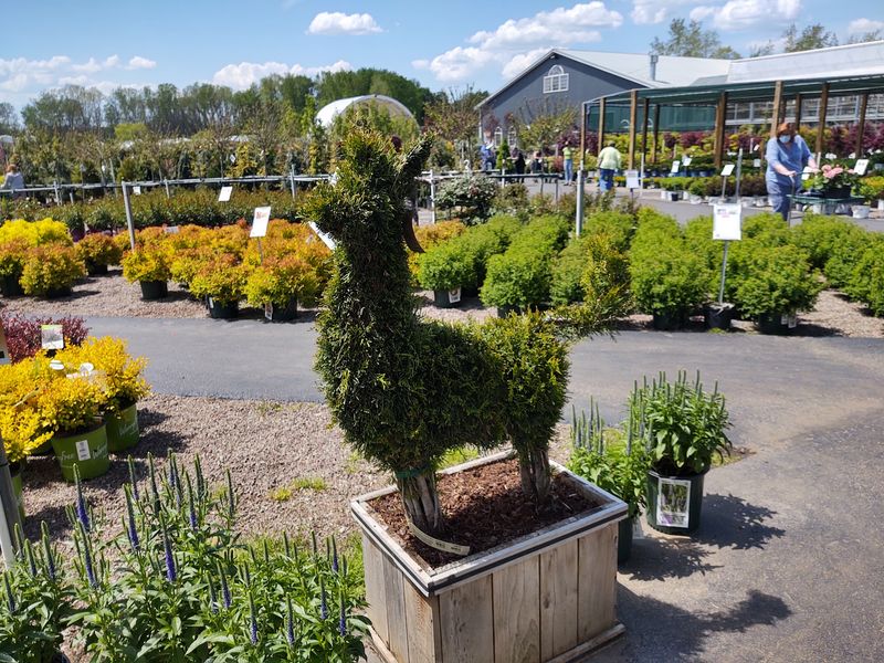 Acres Of Trees And Shrubs