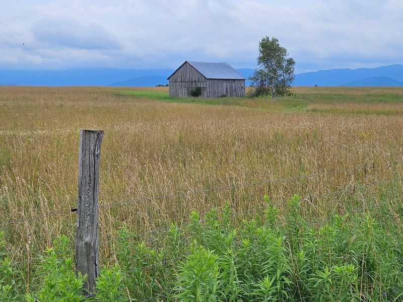 Norman Ridge Farmstead