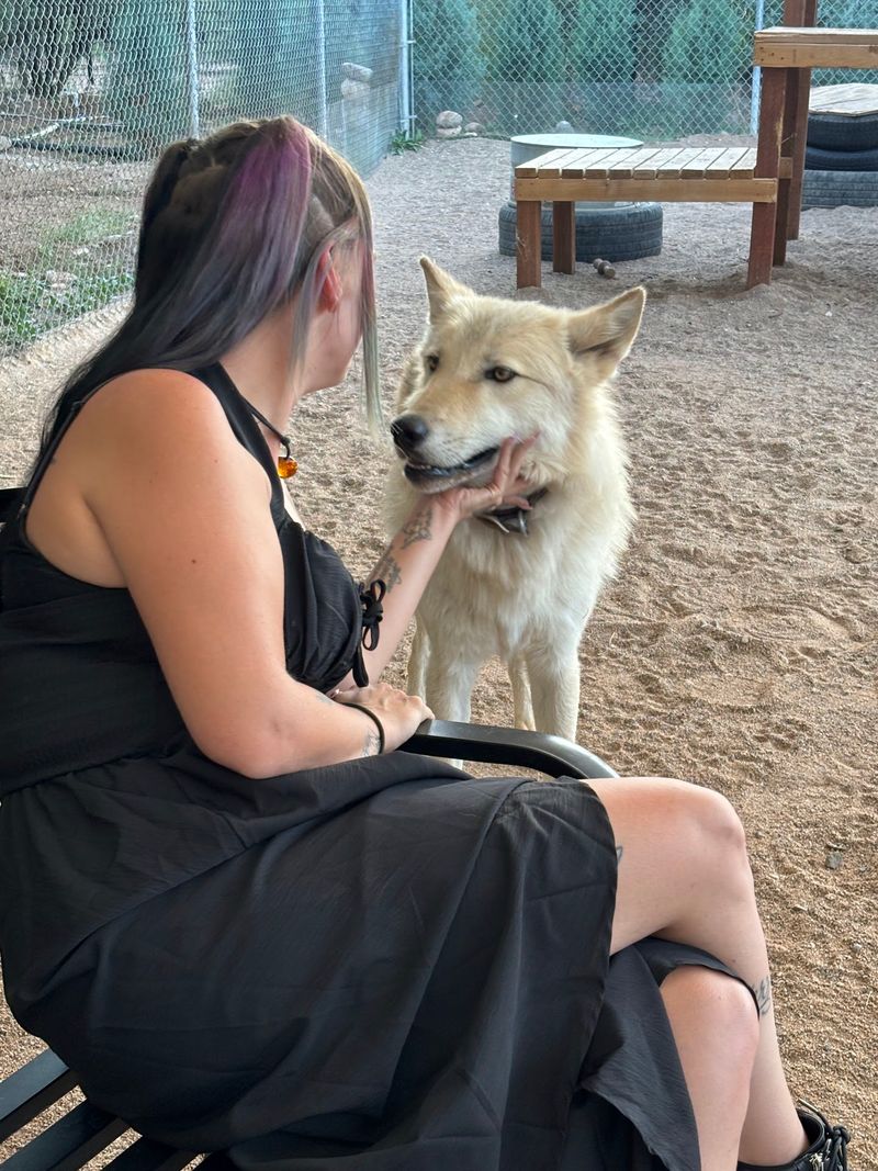 The Guides Know Every Wolf By Heart