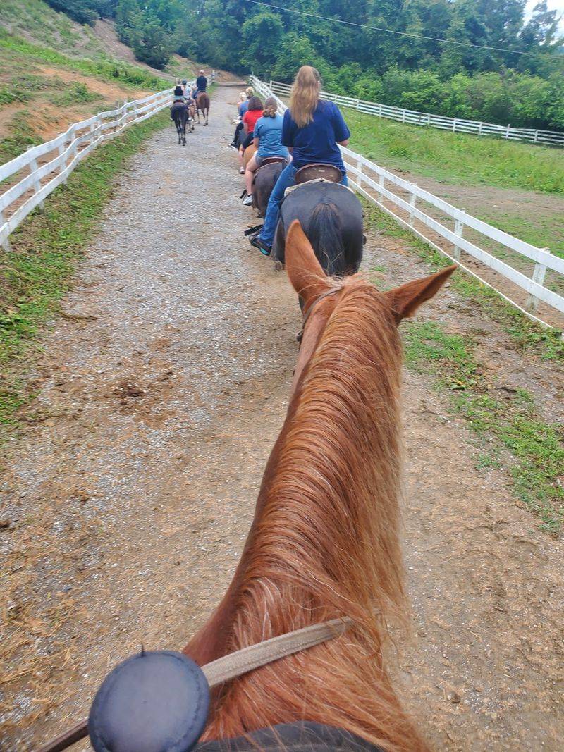 Wildlife Watching From The Saddle