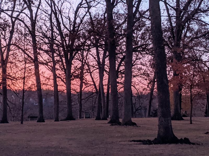 Glow In The Park