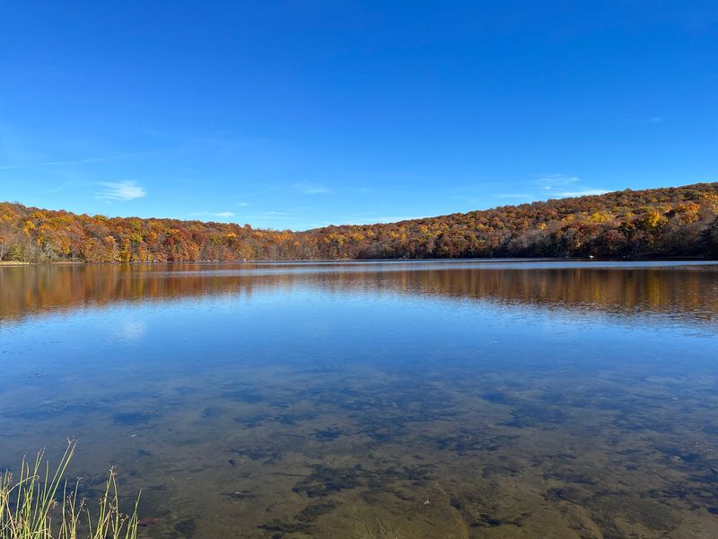 Ringwood State Park