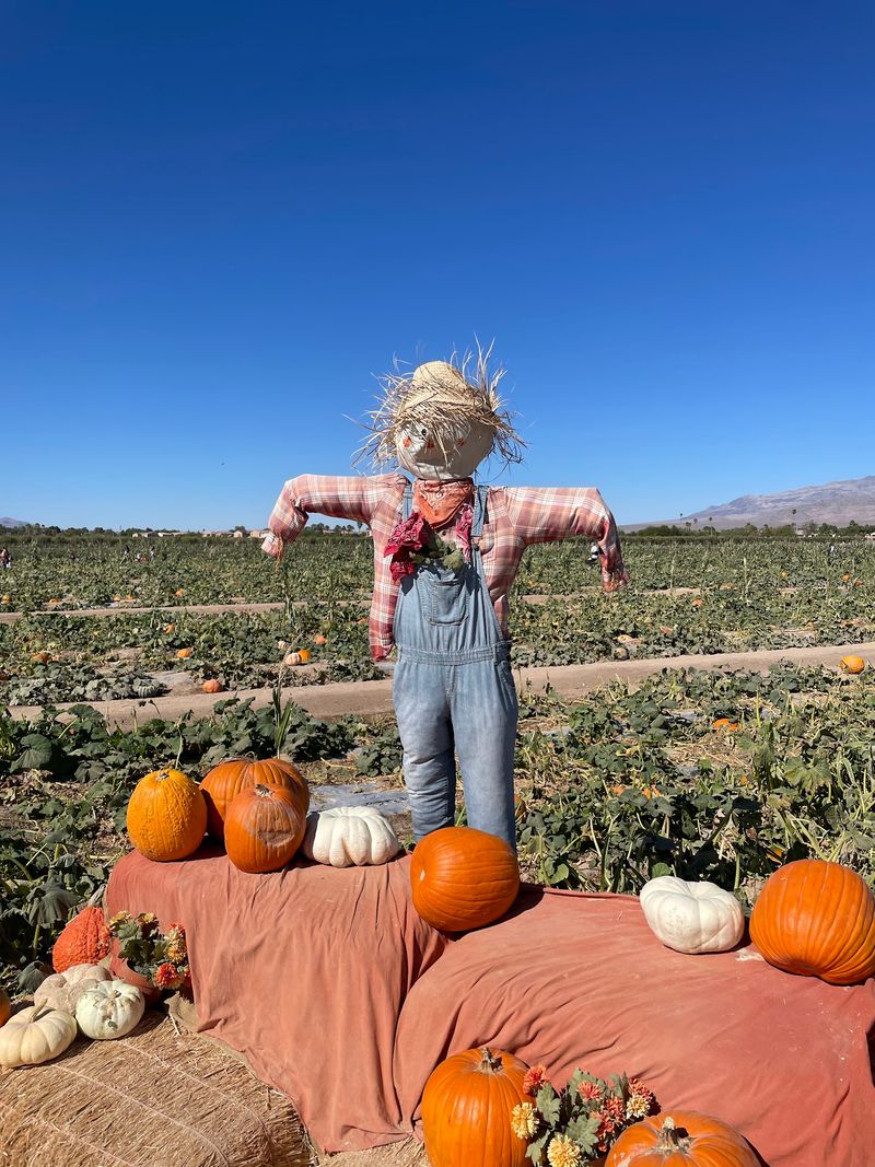 Gilcrease Orchard Fall Harvest, Las Vegas, Nevada