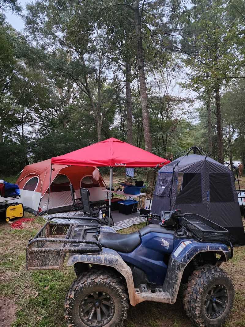 Bunkhouse Beds And Camping Weekends