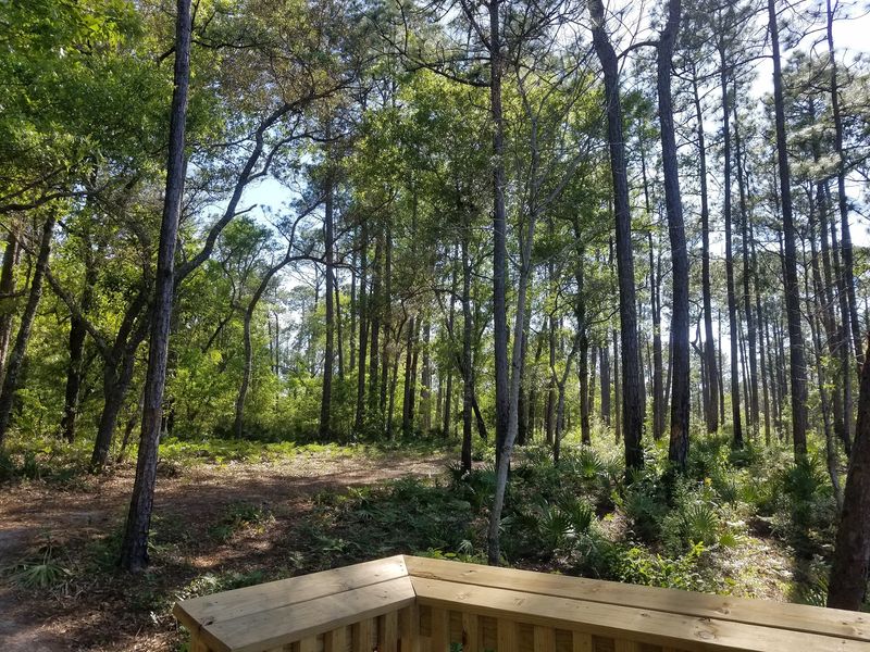 Clean Paths And Recent Growth