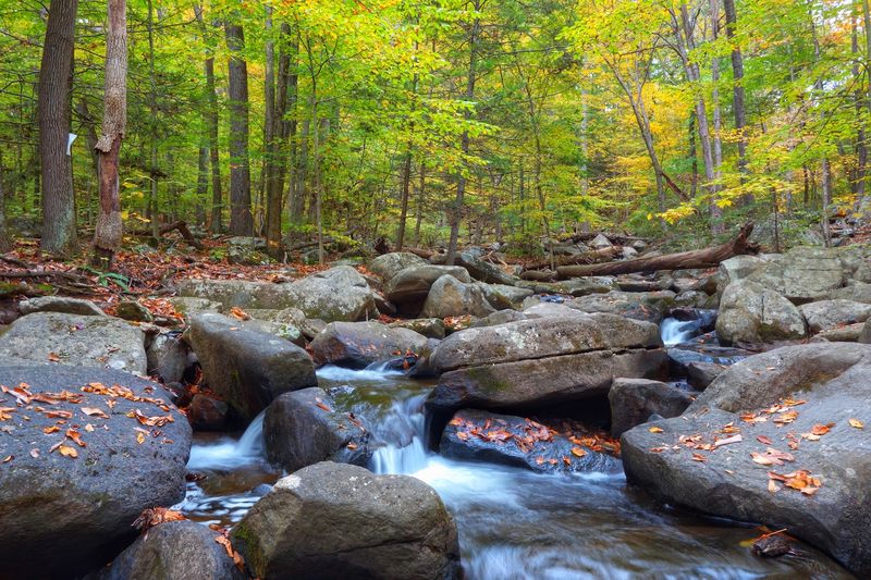 Hacklebarney State Park