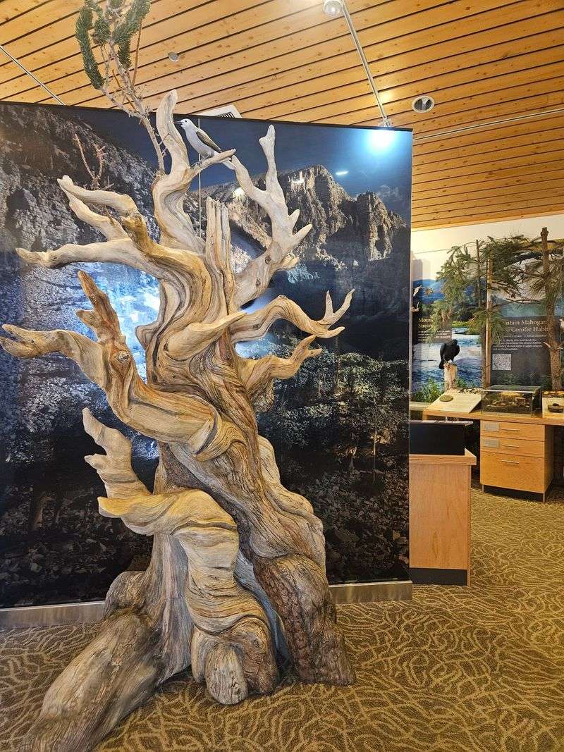 Great Basin Visitor Center