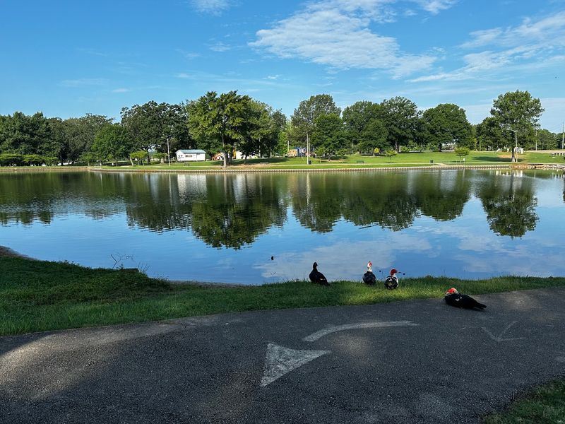 Ballard Park, Tupelo, MS