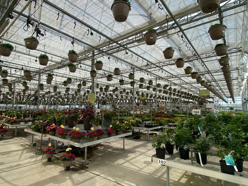 Tomato Fans Might Need A Second Cart For Over 100 Varieties
