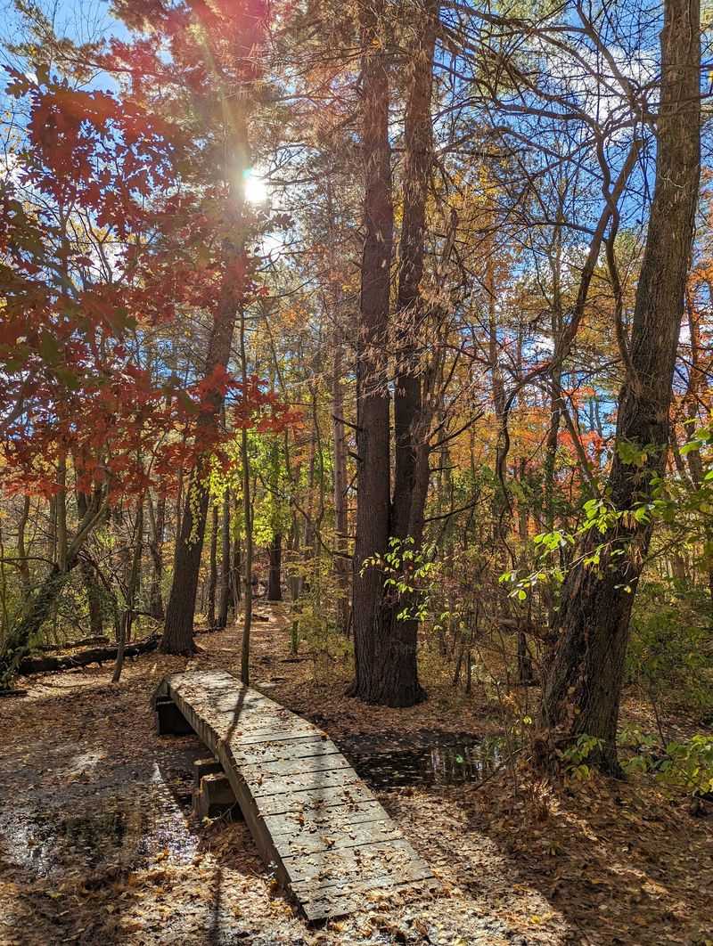 Kendrick Pond At Cutler Park Reservation