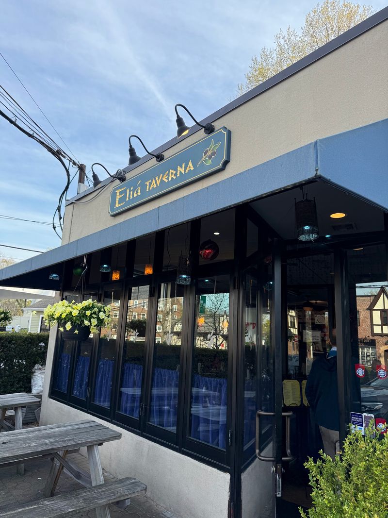 Elia Taverna - Yonkers