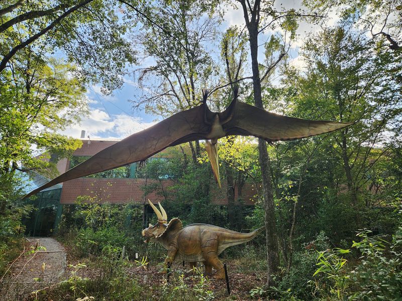 Museum Neighbors Just Down the Path