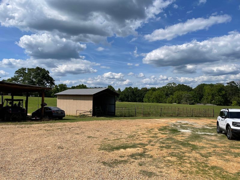 Golden Horse Stables On The Map