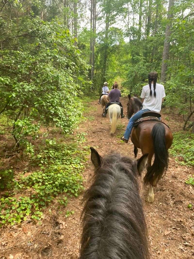 Fall Colors From Horseback