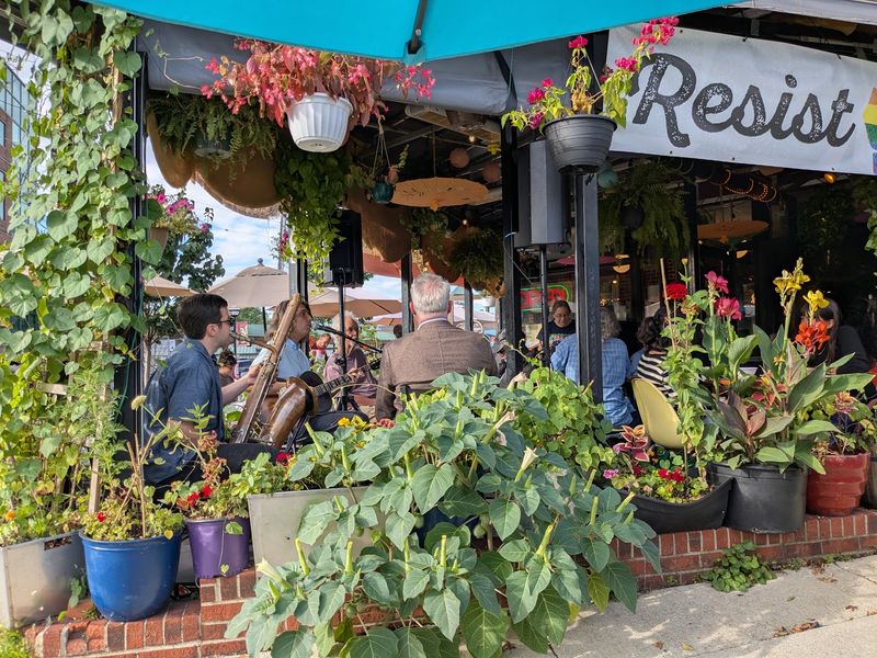 Grab A Patio Seat Surrounded By Plants You Can Actually Buy