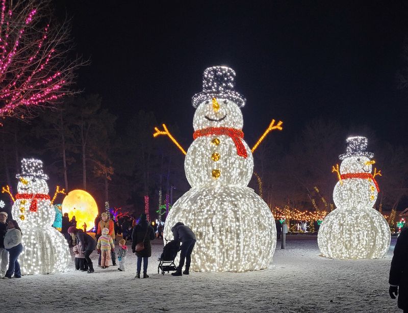 Plan Your Trip Before The Lights Click On