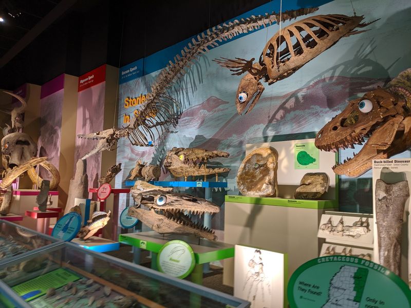 A Saturday That Stretches Across Millions Of Years