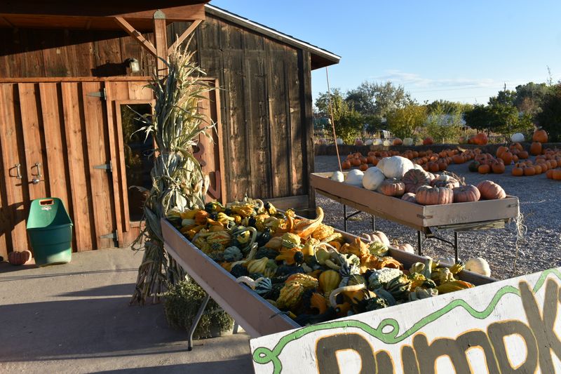 Why This Farm Belongs On Your Fall Calendar