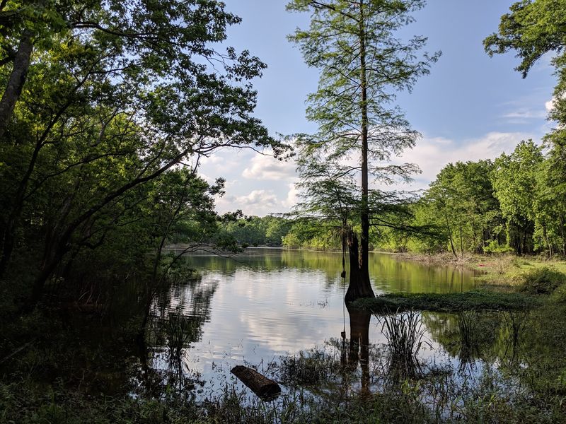 A Soft Verdict on a City Lake With Staying Power