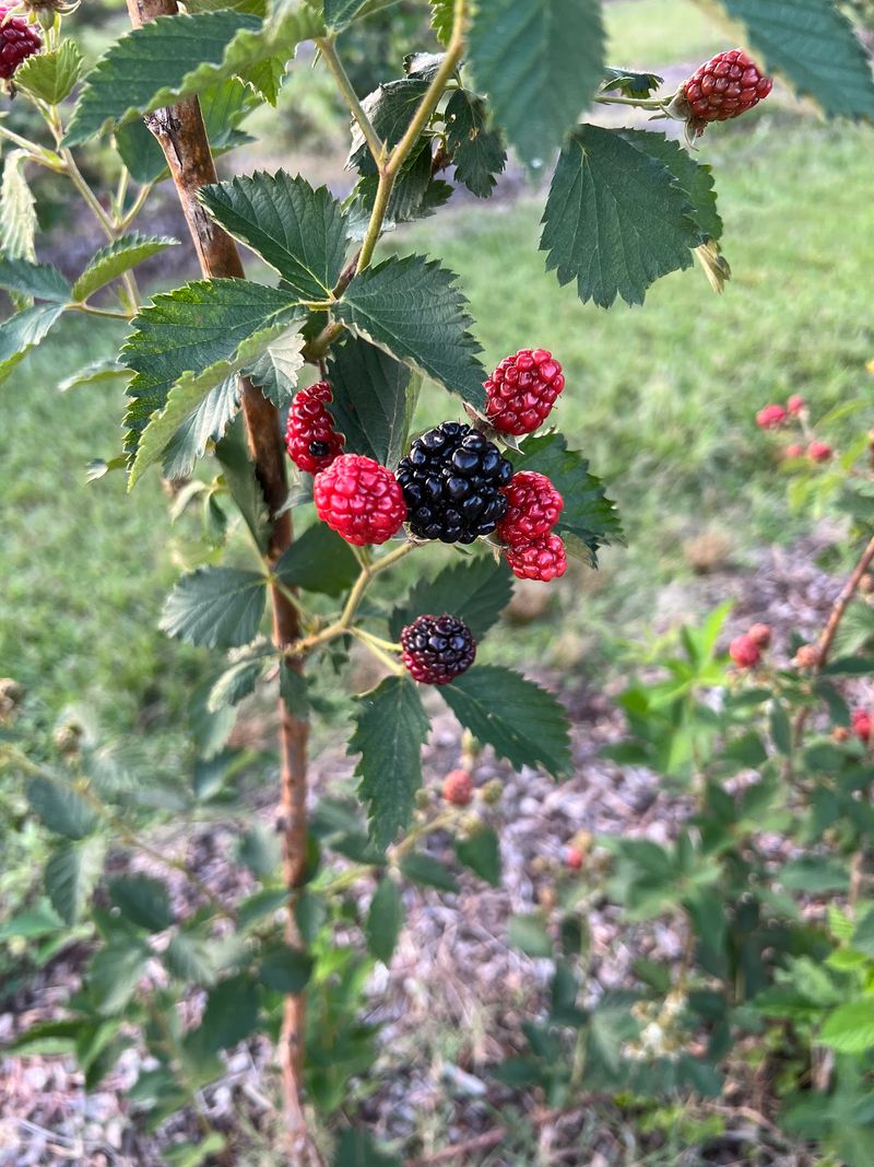 Two Seasons, One Rewarding Farm