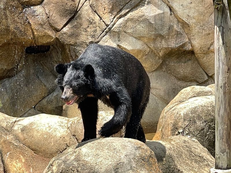 Why This Hometown Zoo Deserves Your Day