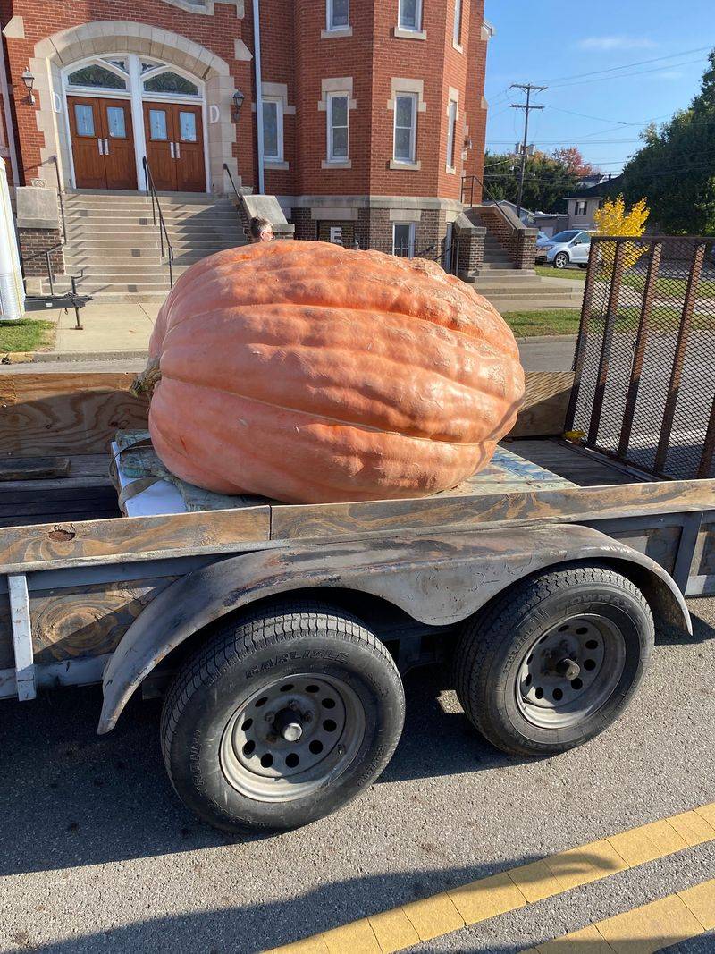 Giant Pumpkins That Weigh More Than A Small Car