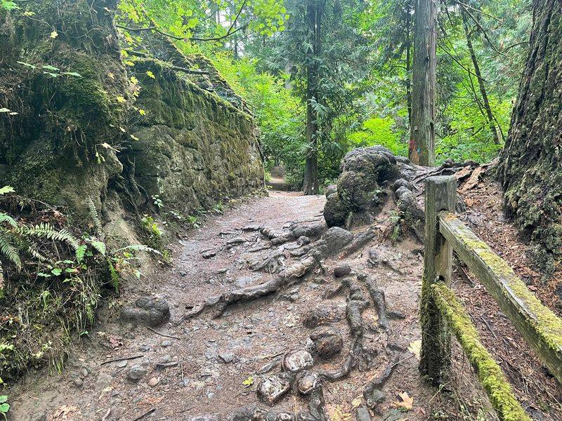Pack Smart For Mud, Slugs, And Snacks