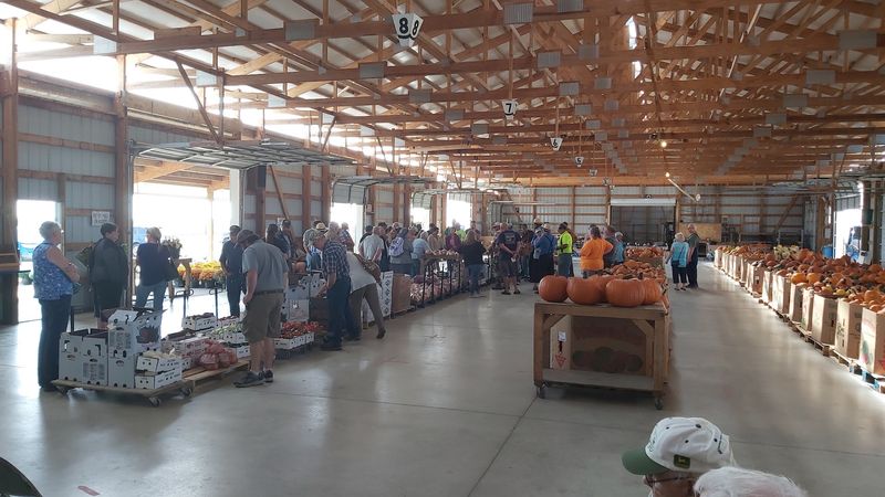 Planning Your Trip To Amish Country