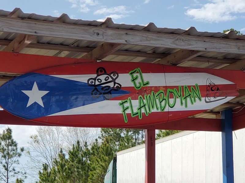 The Flame Tree Behind the Name