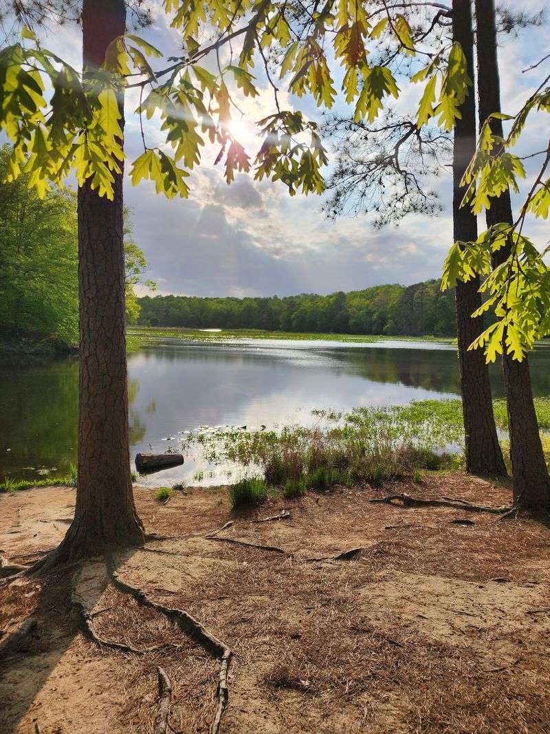 Pocahontas State Park