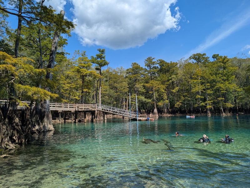 Morrison Springs County Park