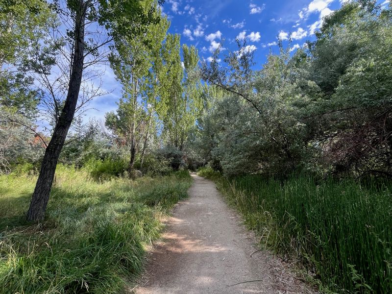Oxbow Nature Study Area