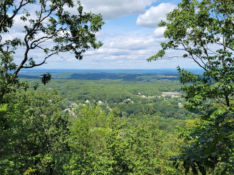 Bennett Hill Preserve
