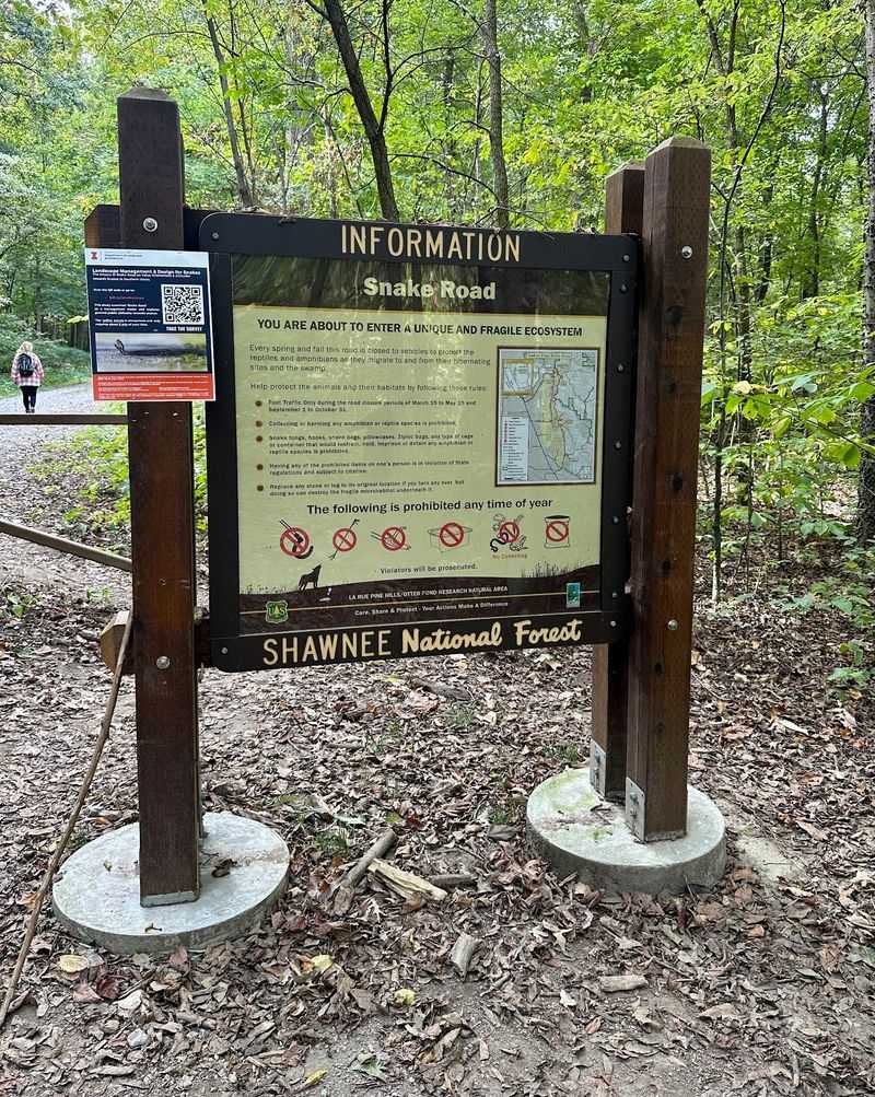 Rules That Keep the Road Open