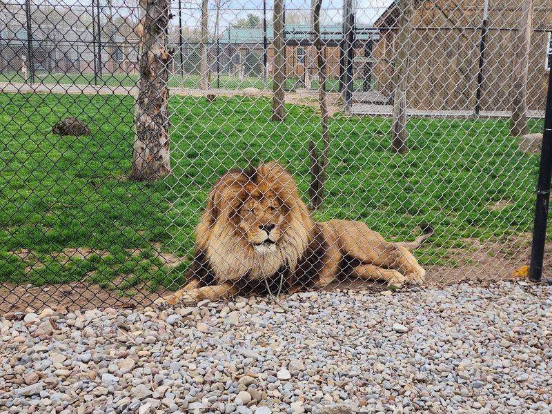 The Wild Animal Park