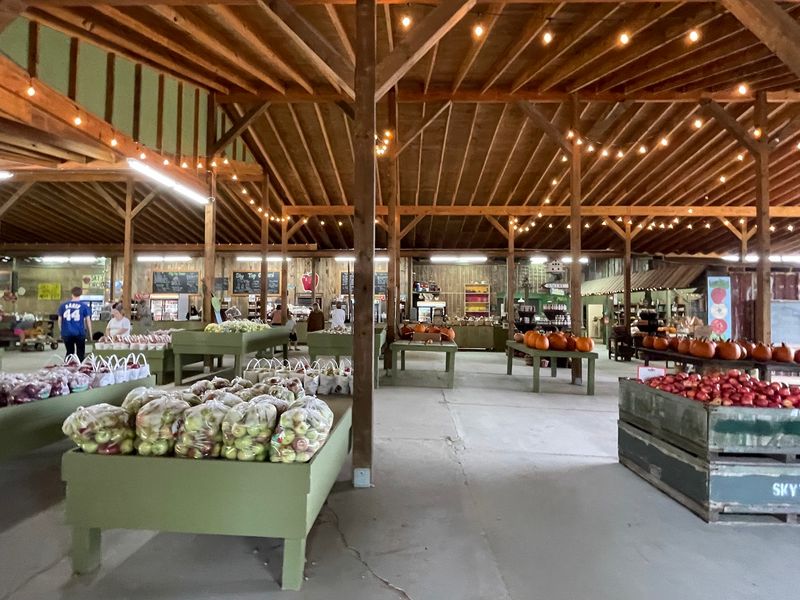 Market Treats And Pizza Breaks