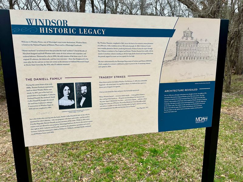 Stories On The Newer Signs