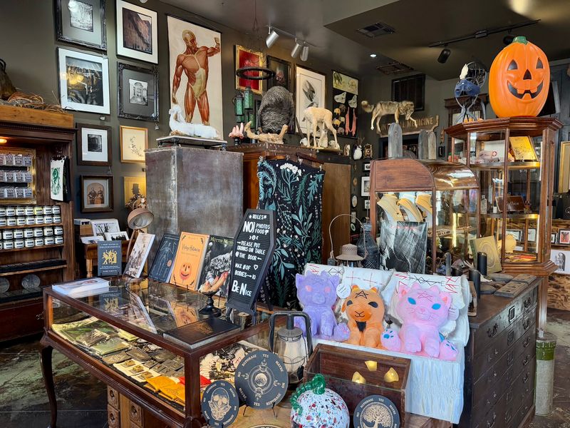 Over 30 Local Artists Make Strange Look Gorgeous
