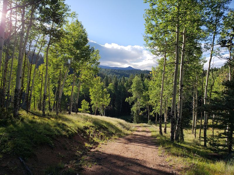 Fifty Miles Of Trails To Wander