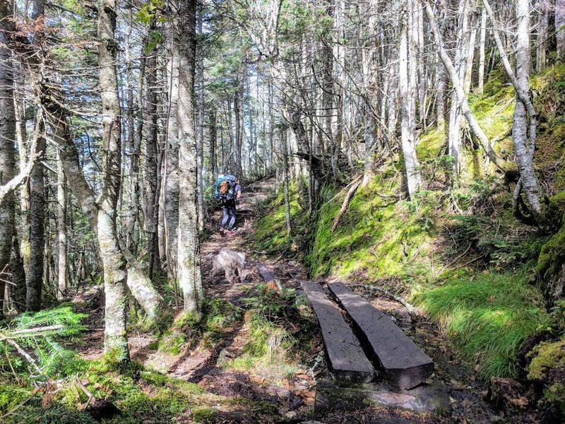 Bigelow Mountain Trail