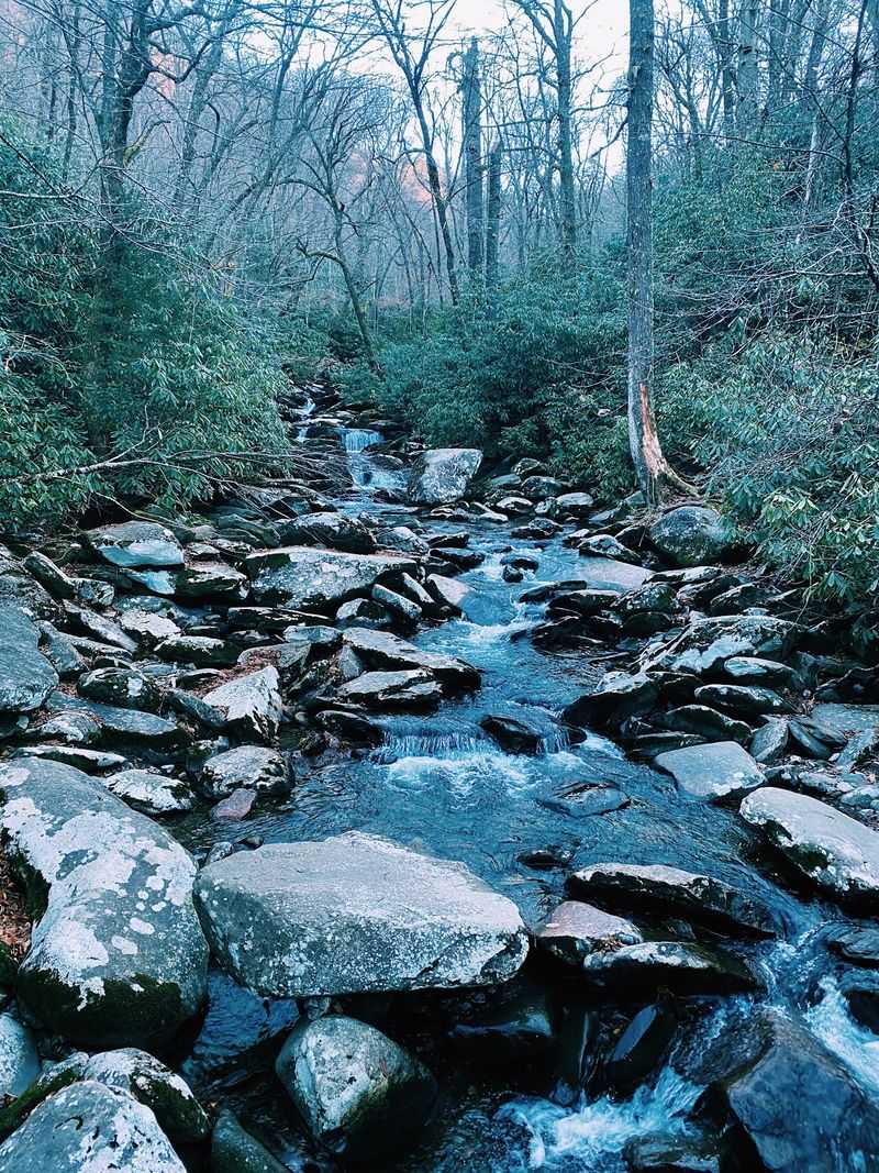 Parkway Fun And Wild Trails Sit Just Minutes Away