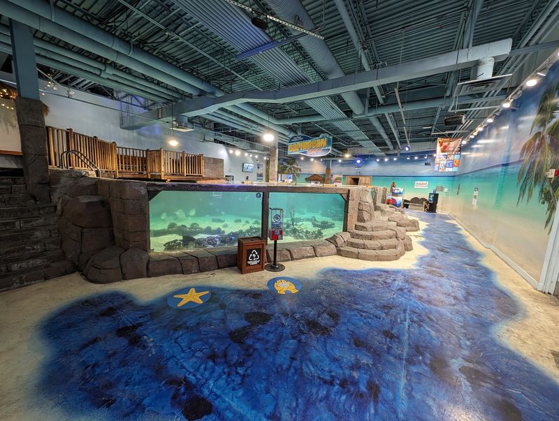 An Off-Strip Ocean In A Mall