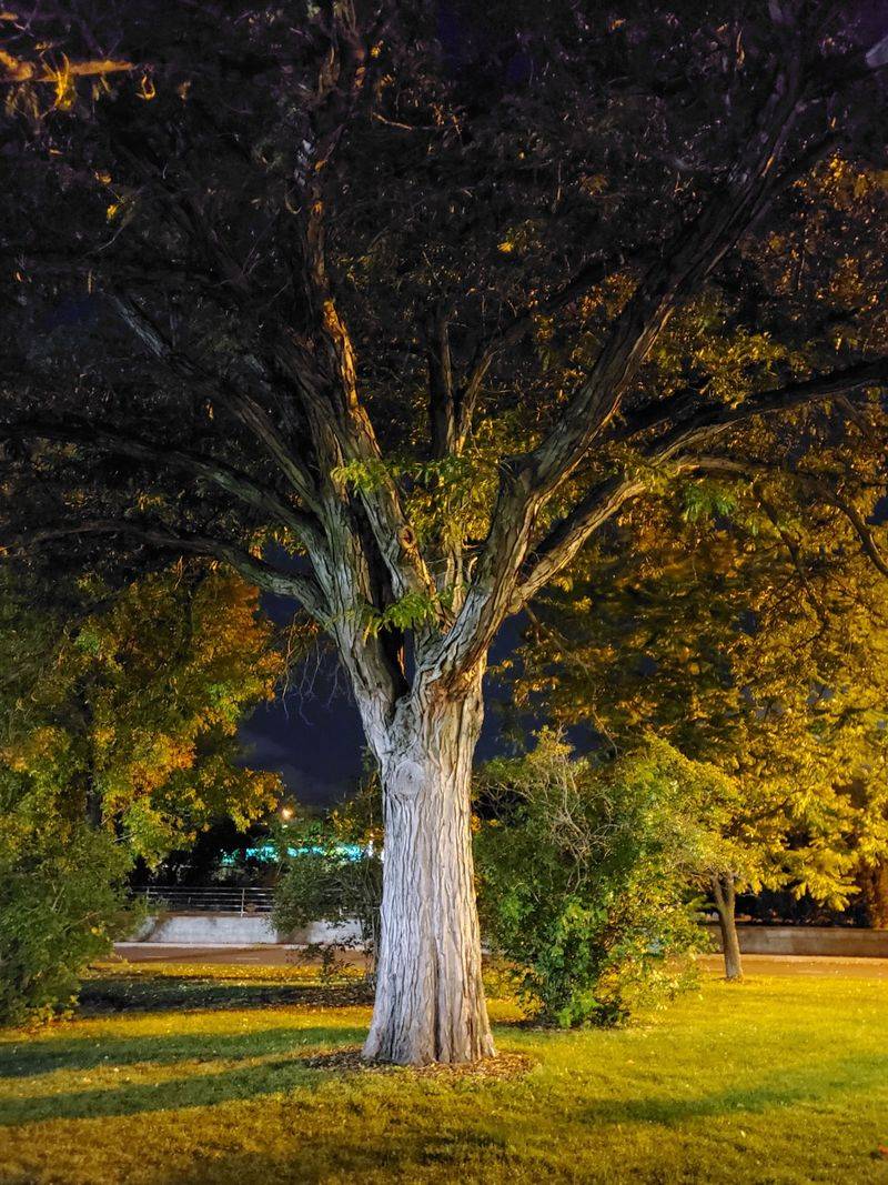 Idlewild Park