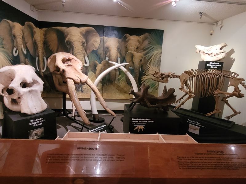 A Science Stop on Las Vegas Boulevard North