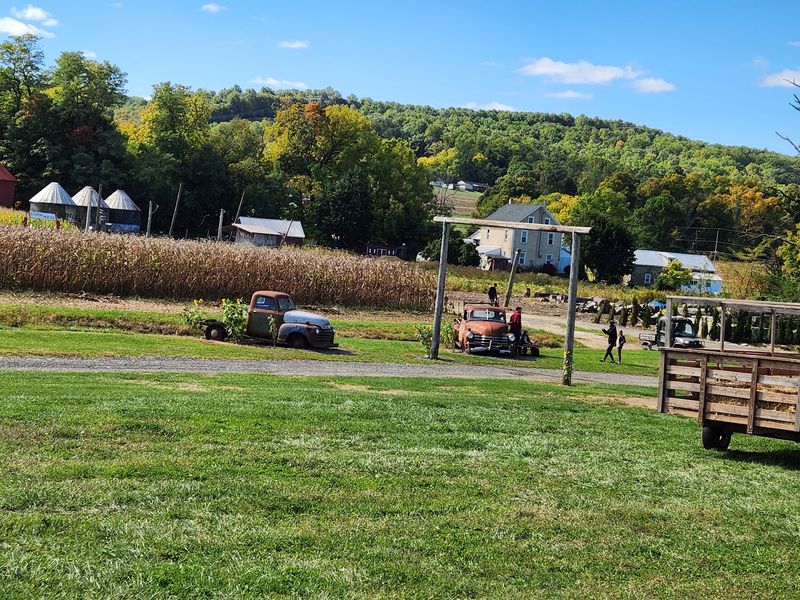 Savidge Farms