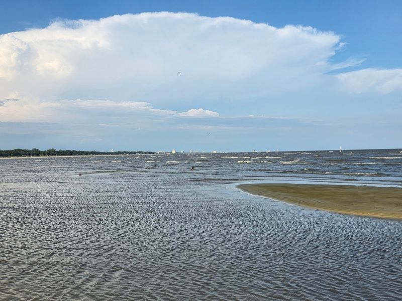Hermit Crab Hunts in the Shallows